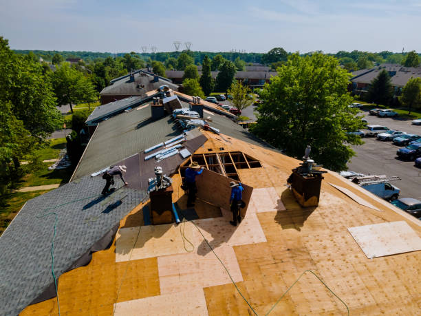 Best Flat Roof Repair Services  in Grain Valley, MO